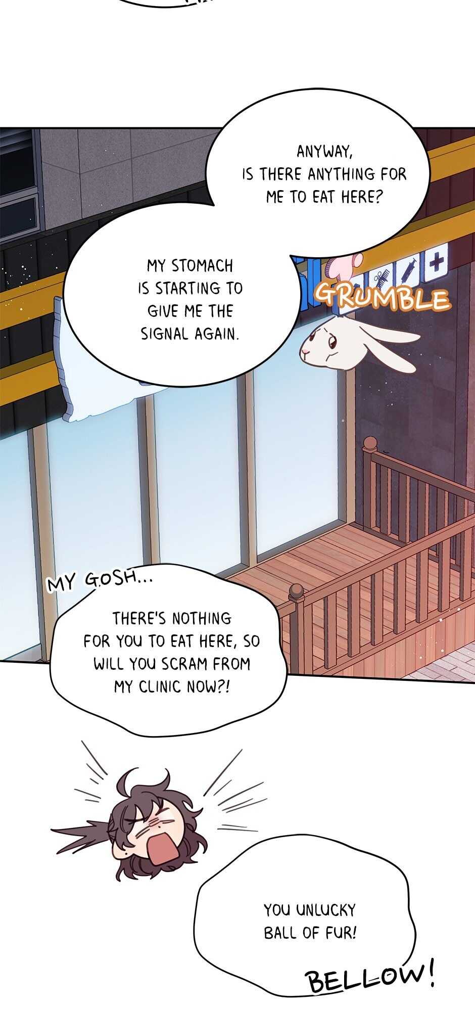 An animal hospital in the border area Chapter 20