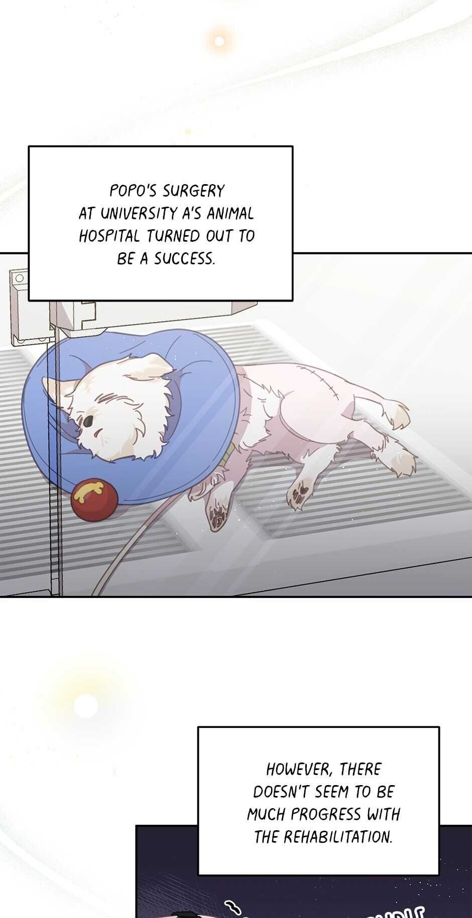 An animal hospital in the border area Chapter 20