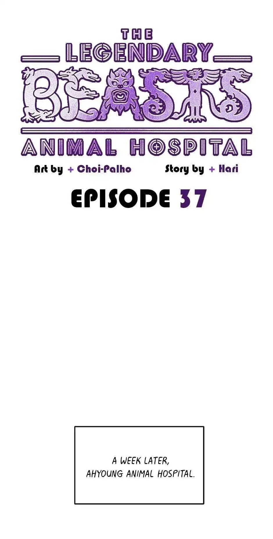 An animal hospital in the border area Chapter 37