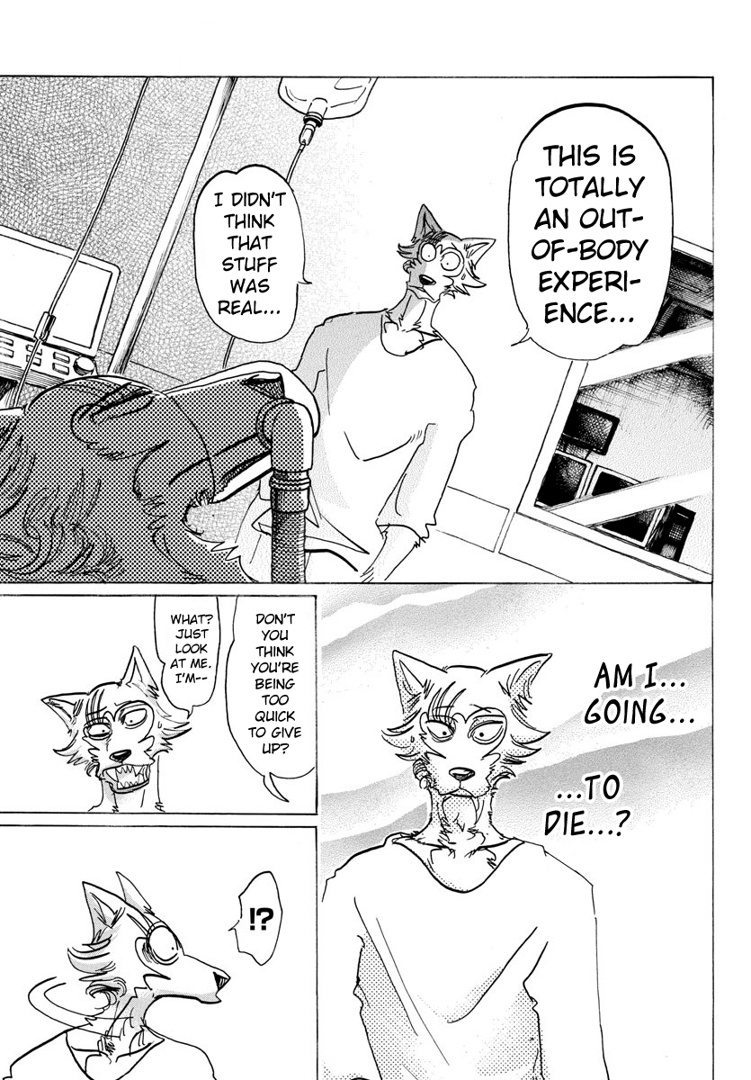 Beastars Chapter 132 17