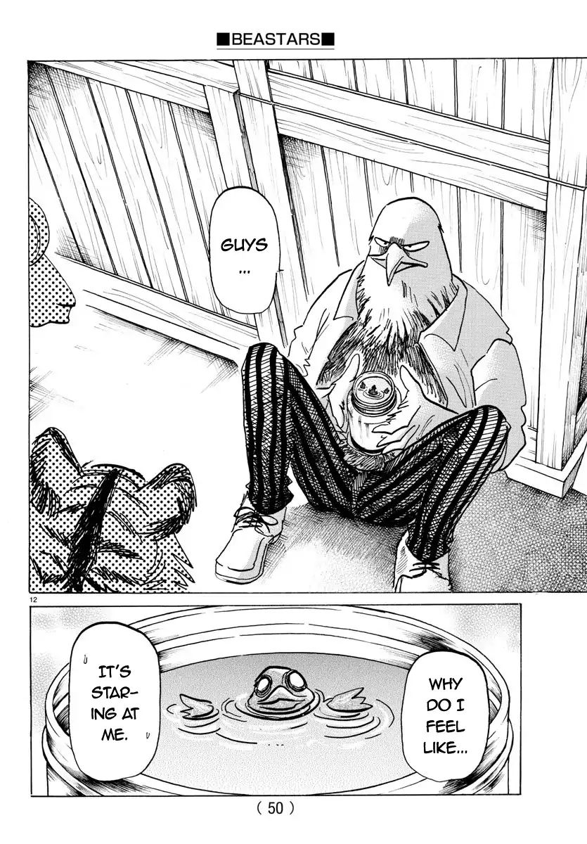 Beastars Chapter 155 12