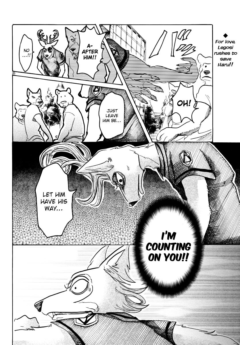 Beastars Chapter 36 19