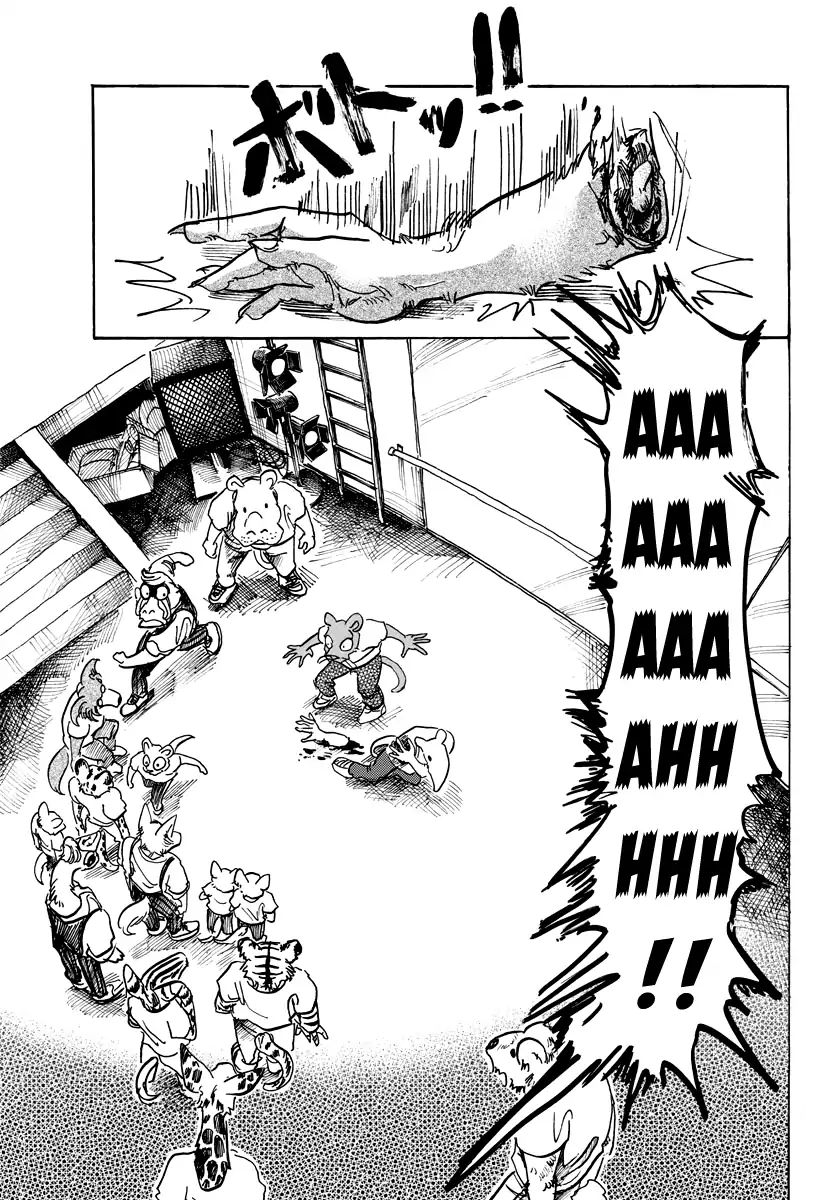 Beastars Chapter 71 6