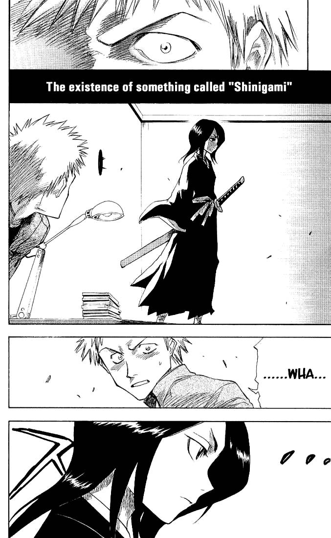 Bleach Chapter 1