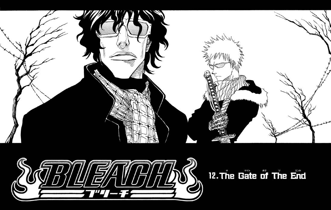 Bleach Chapter 12