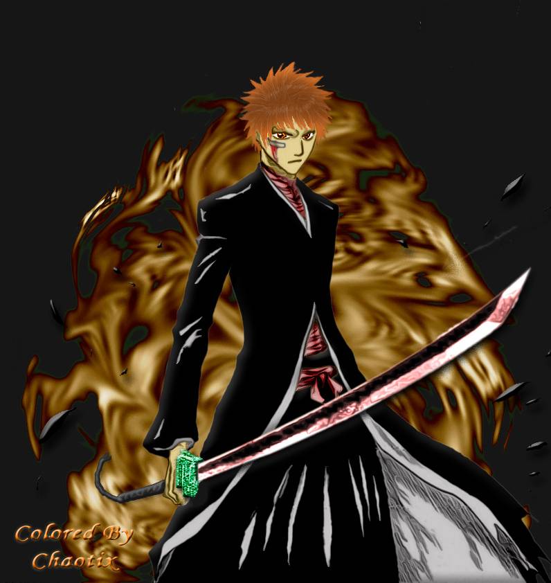 Bleach Chapter 163