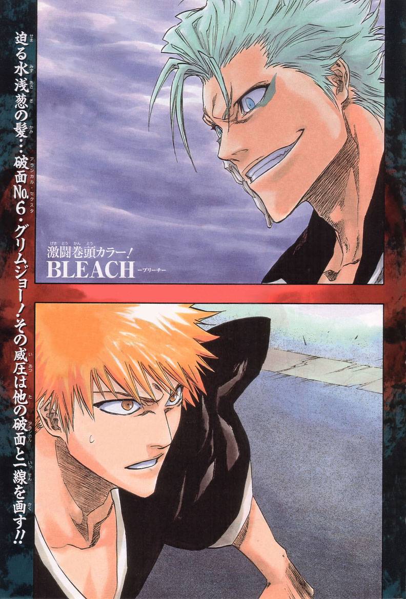 Bleach Chapter 204