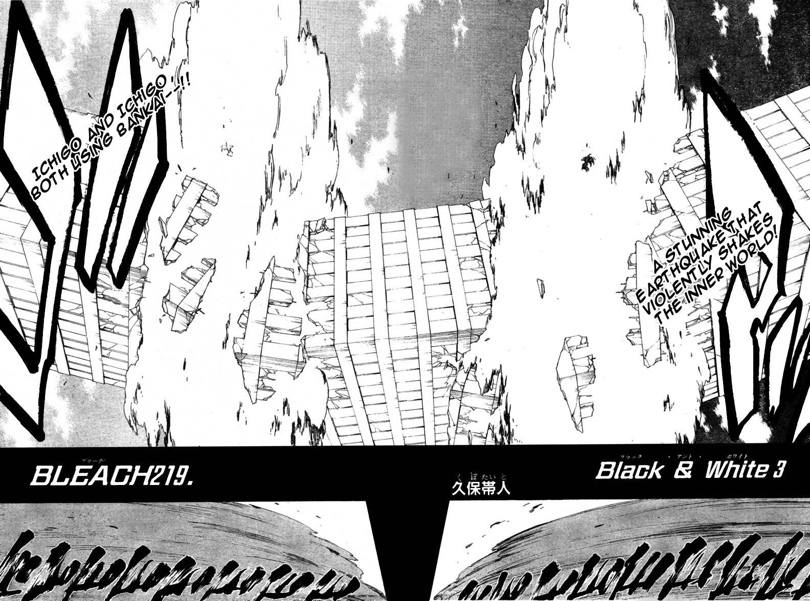 Bleach Chapter 219