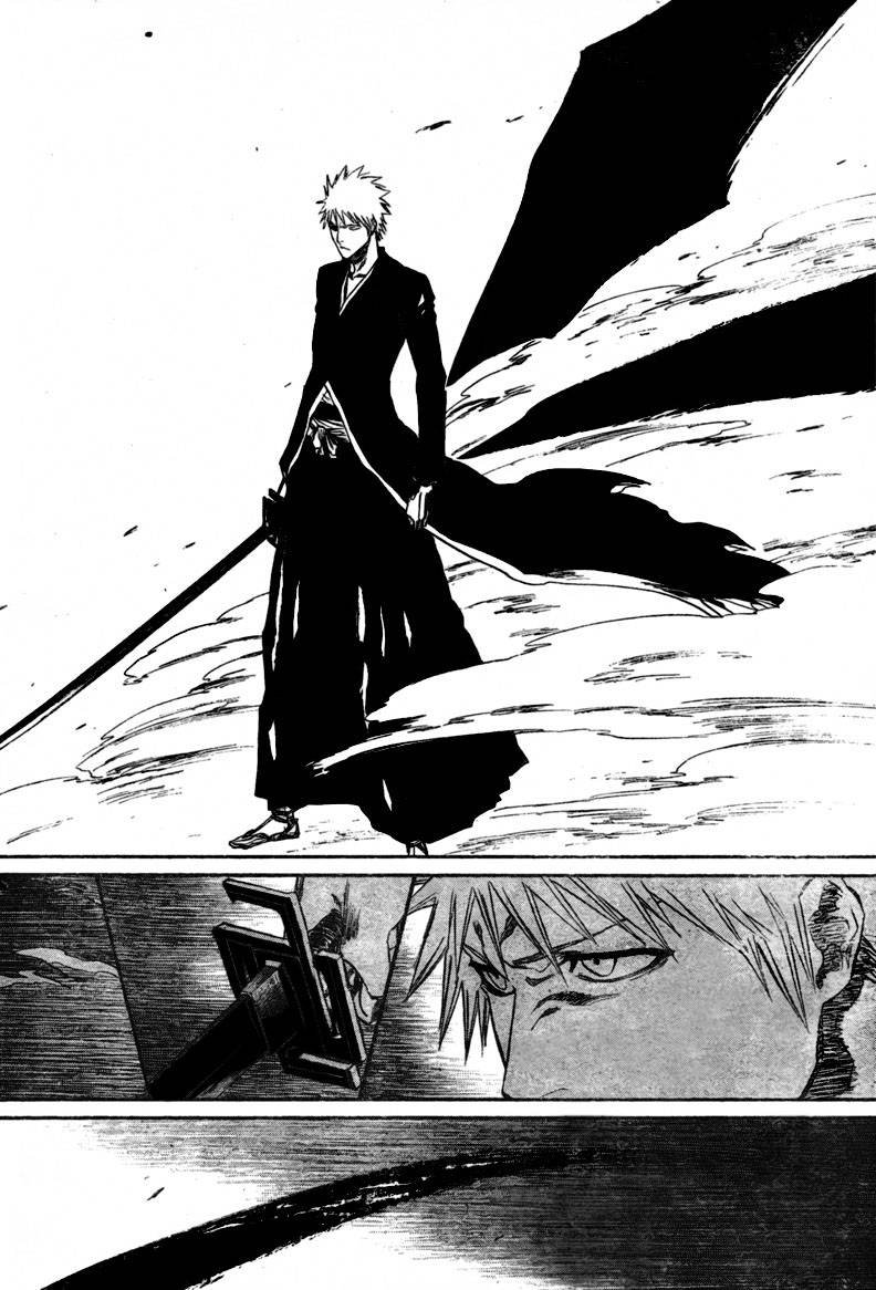 Bleach Chapter 219