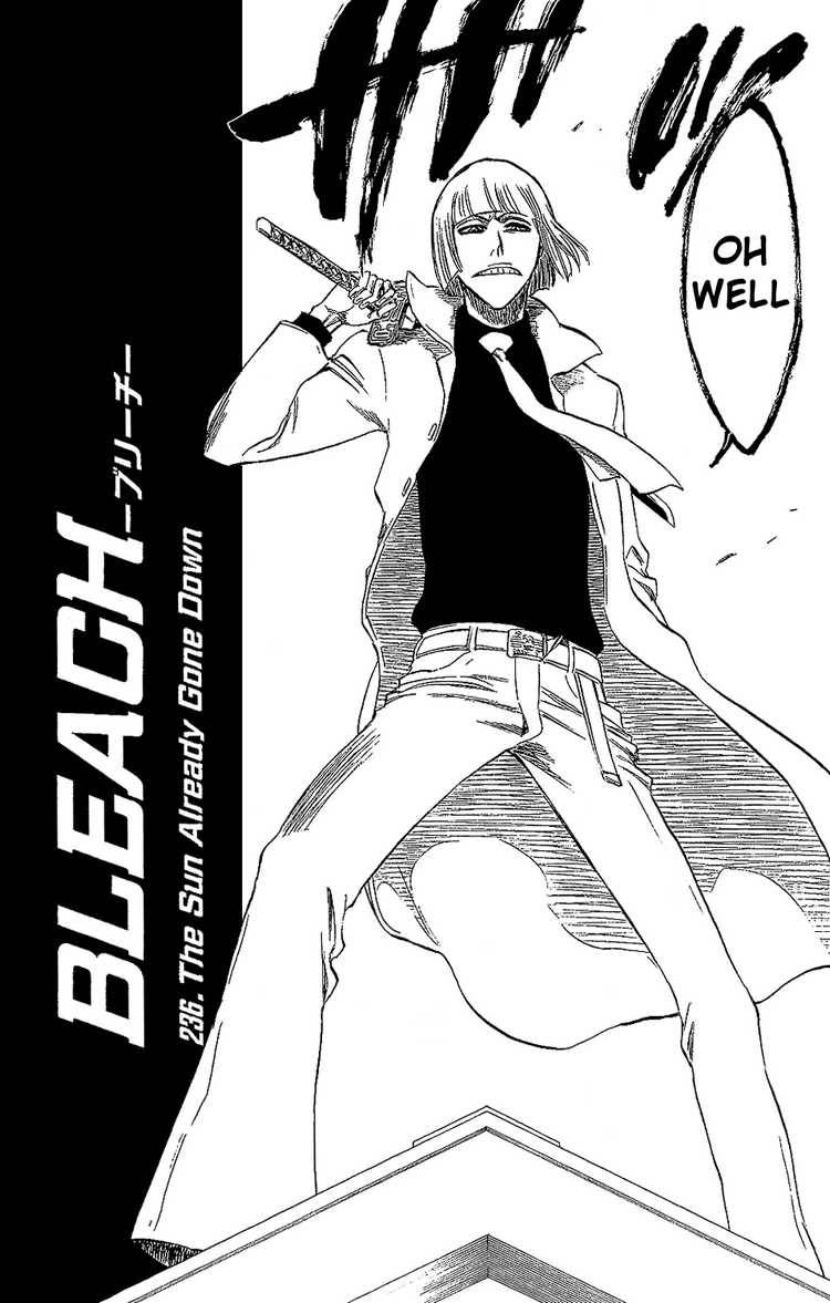 Bleach Chapter 236