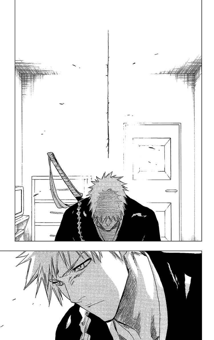 Bleach Chapter 238