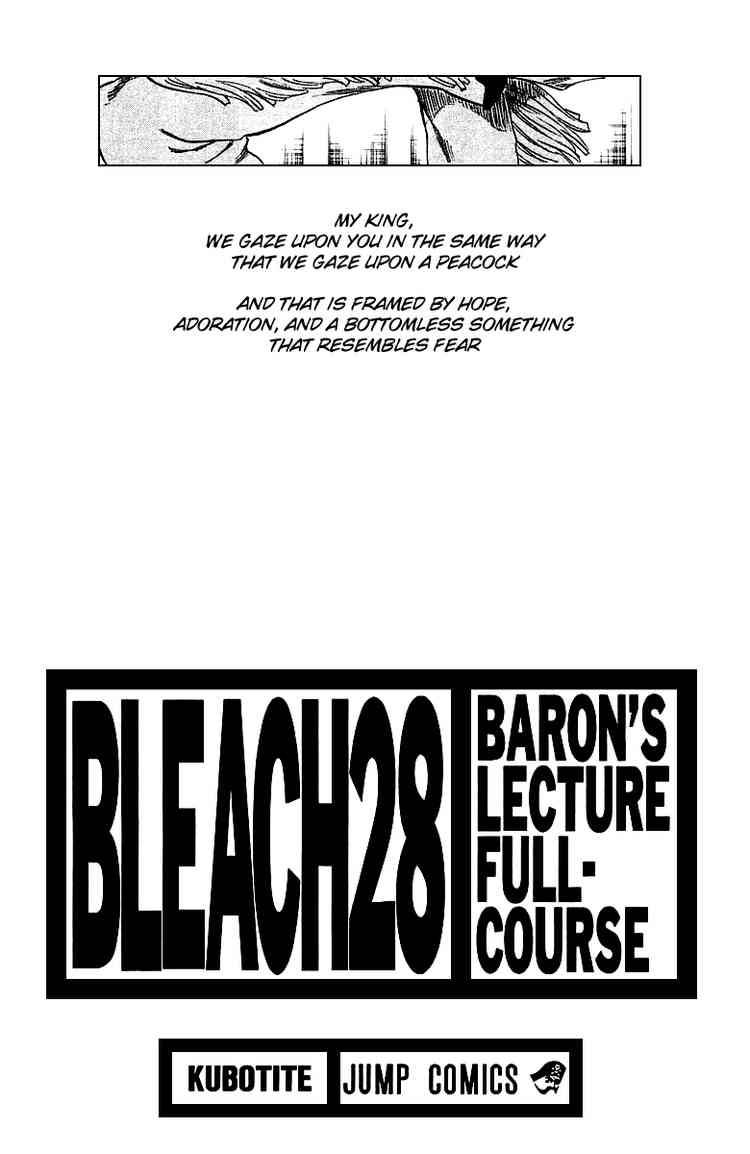 Bleach Chapter 243