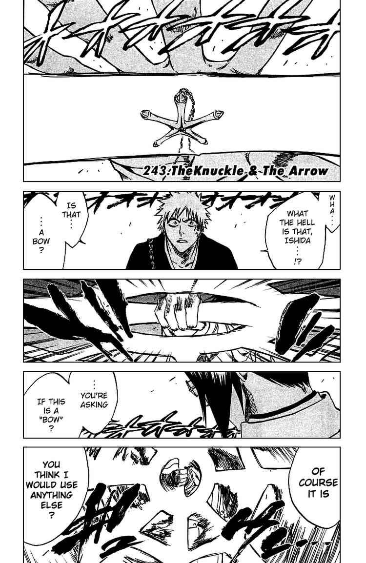 Bleach Chapter 243