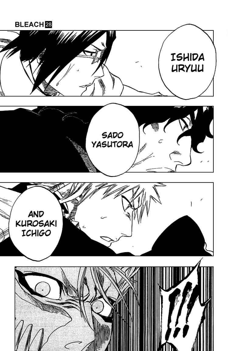 Bleach Chapter 245