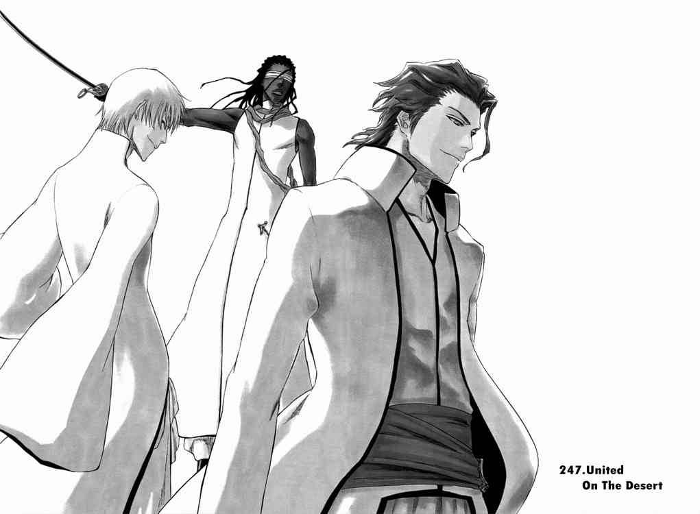 Bleach Chapter 247