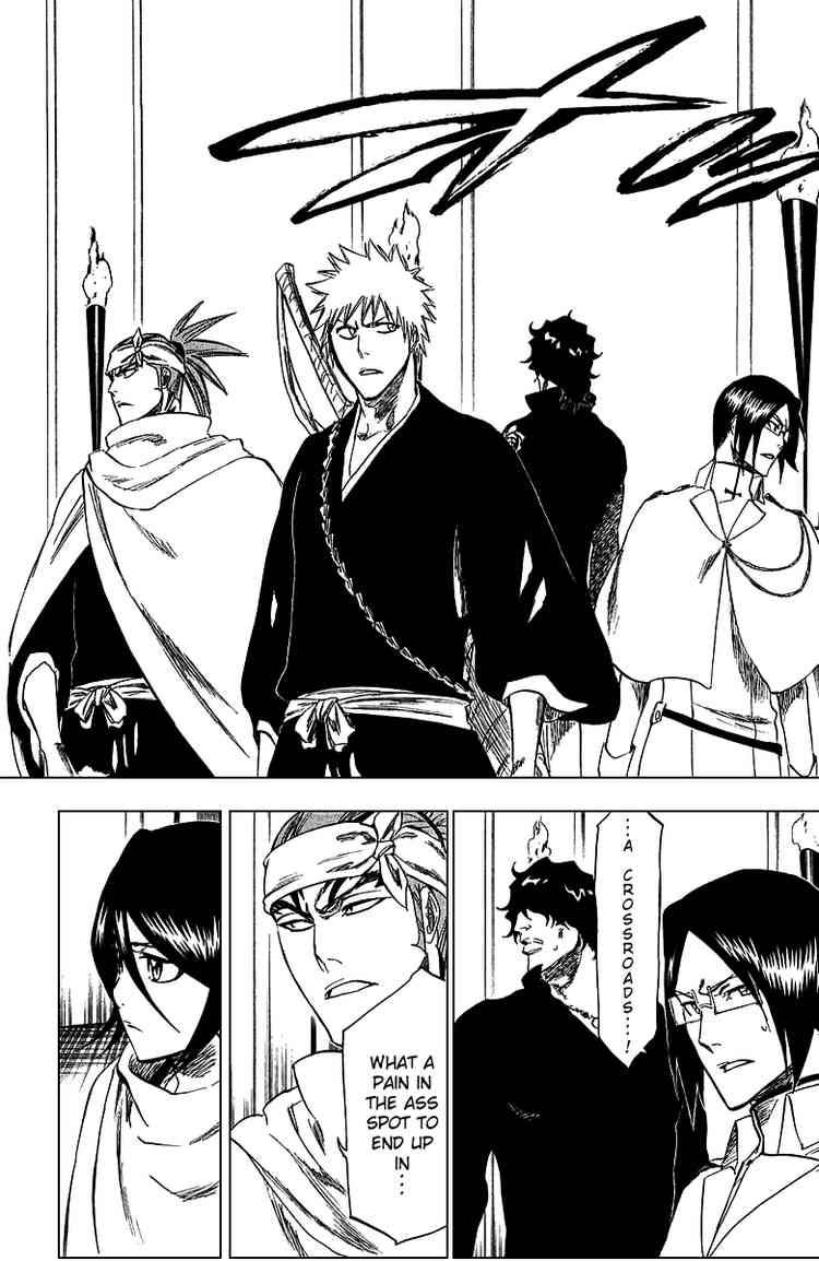 Bleach Chapter 248