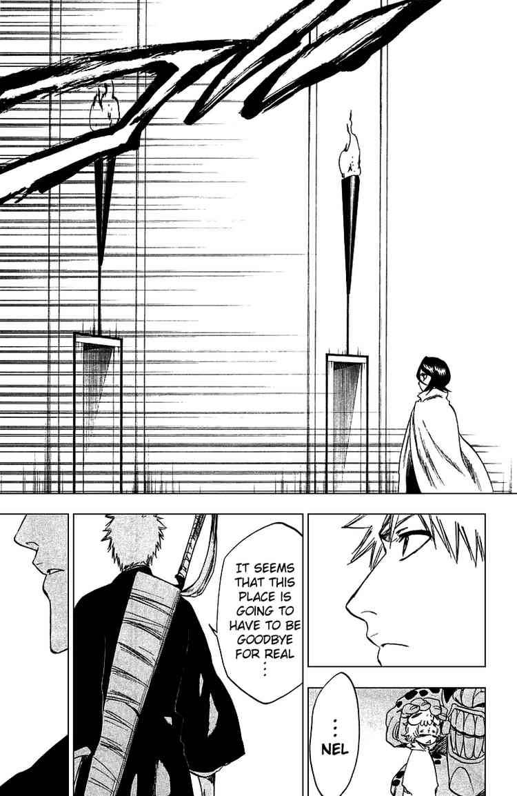 Bleach Chapter 248