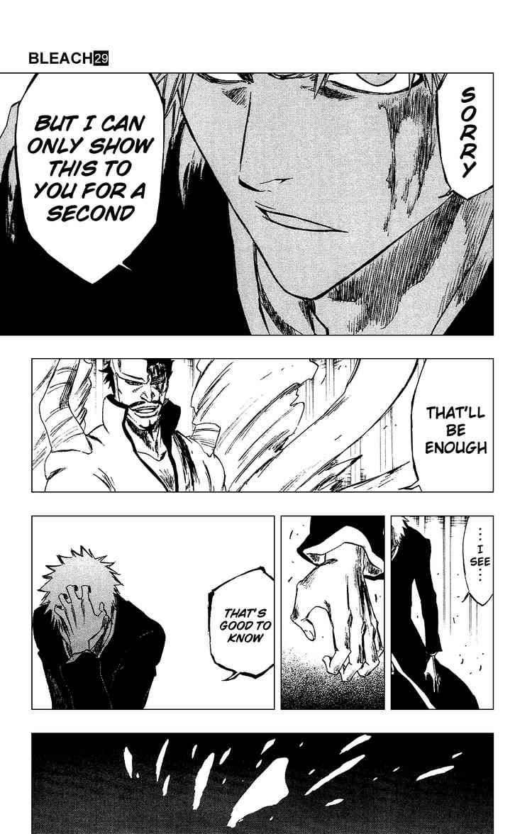 Bleach Chapter 253