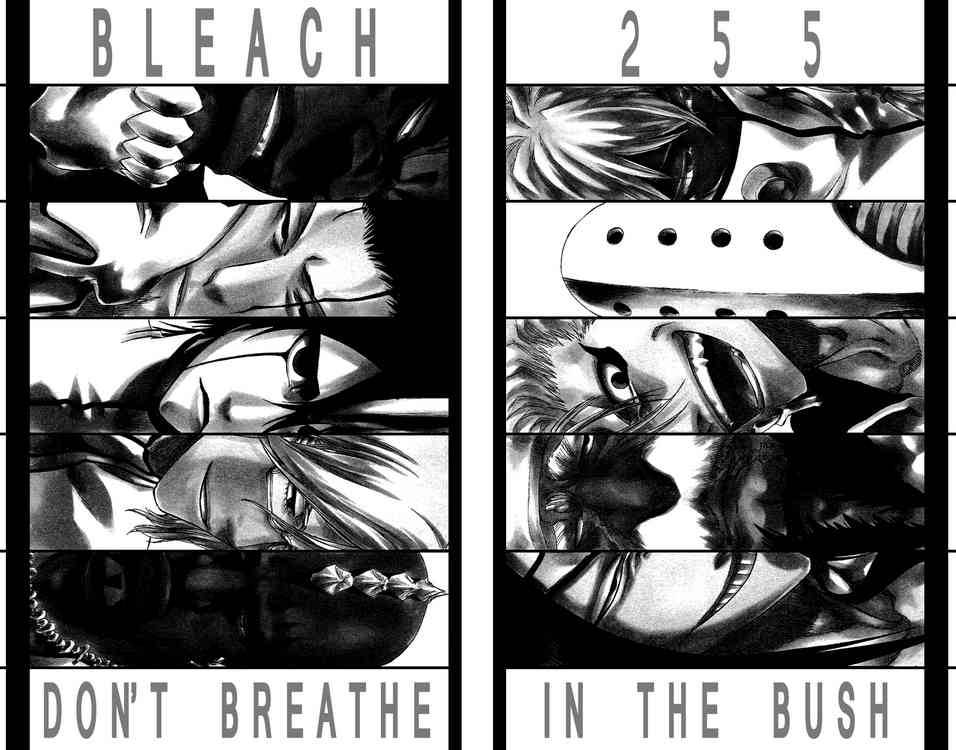 Bleach Chapter 255