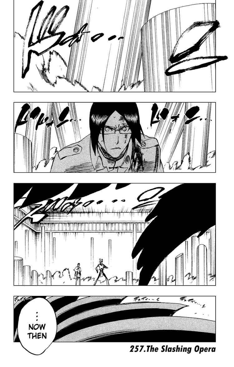 Bleach Chapter 257