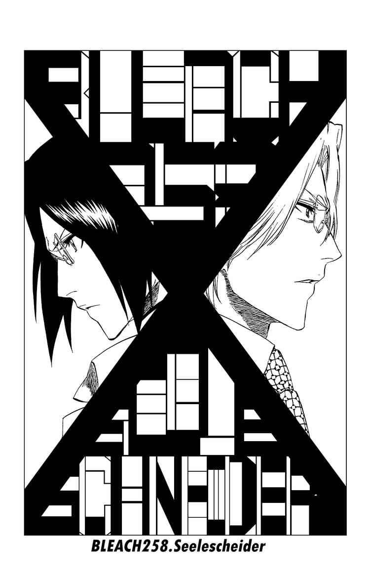 Bleach Chapter 258