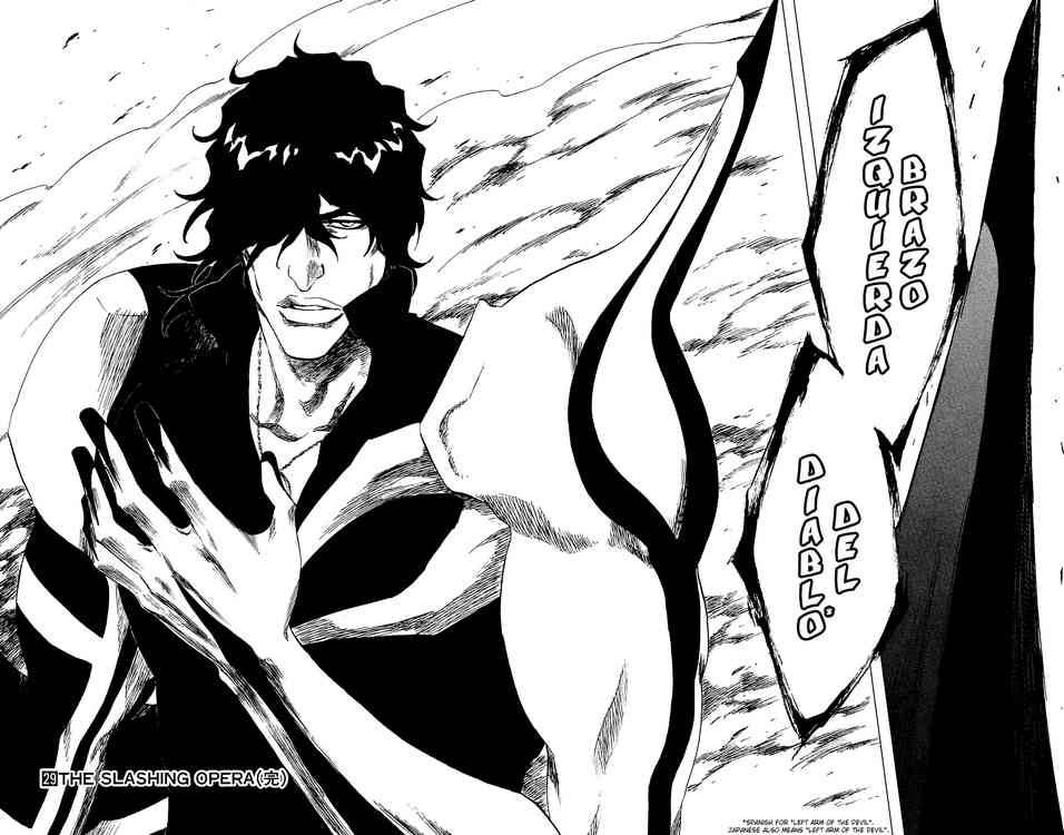 Bleach Chapter 260