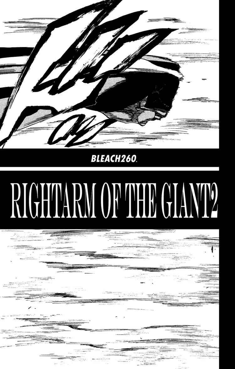 Bleach Chapter 260