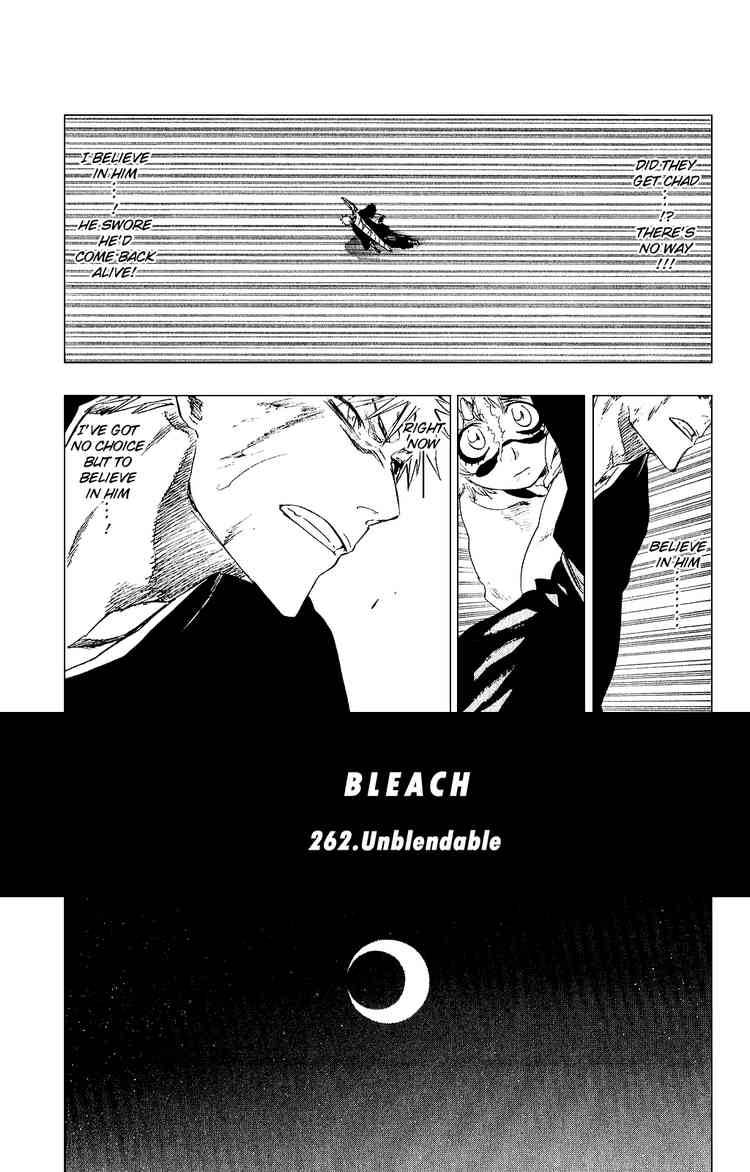 Bleach Chapter 262