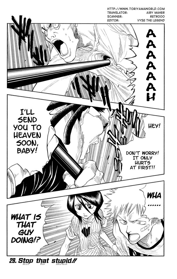 Bleach Chapter 29