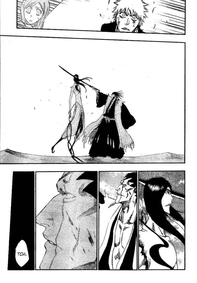 Bleach Chapter 307