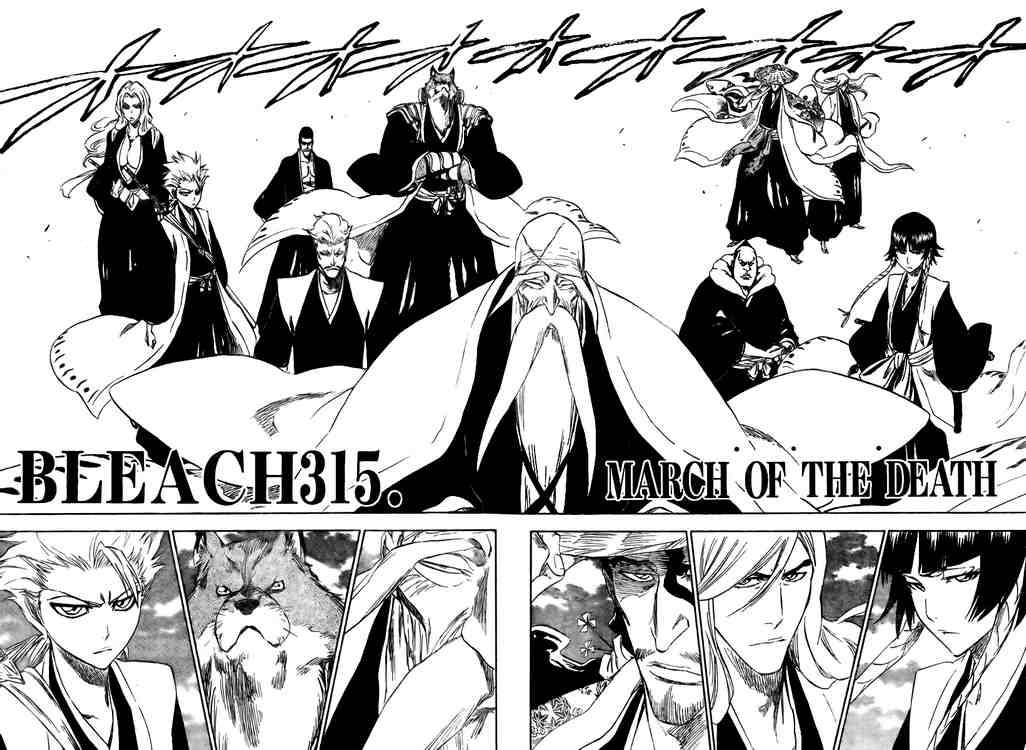 Bleach Chapter 315 2