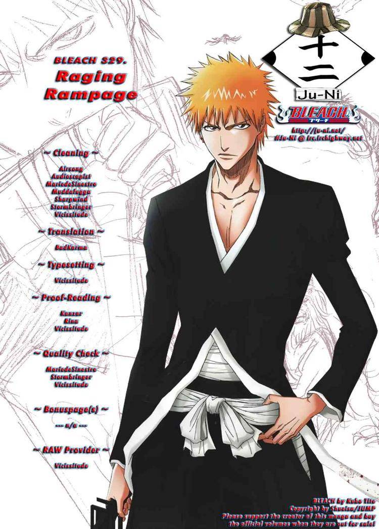 Bleach Chapter 329