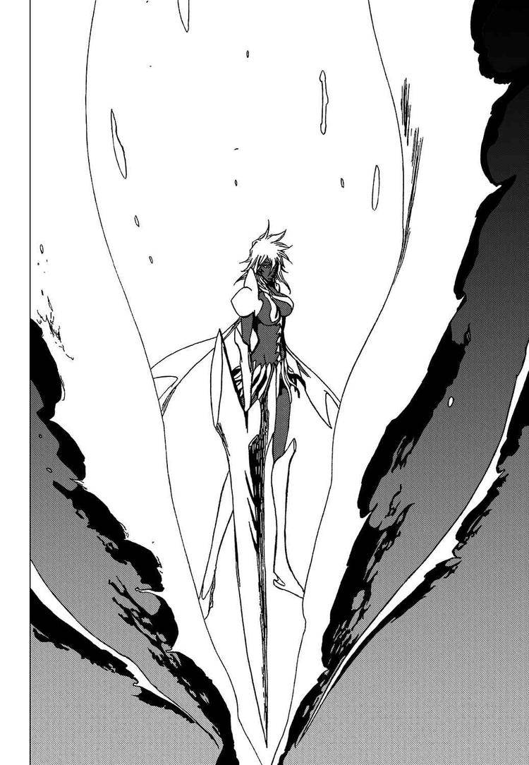 Bleach Chapter 355