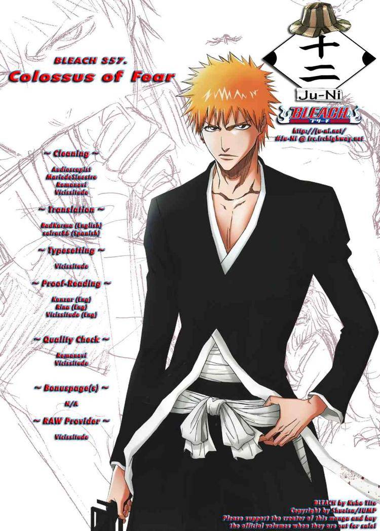 Bleach Chapter 357