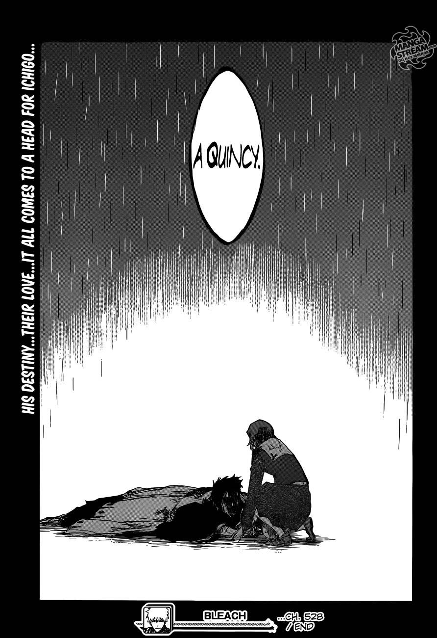 Bleach Chapter 528