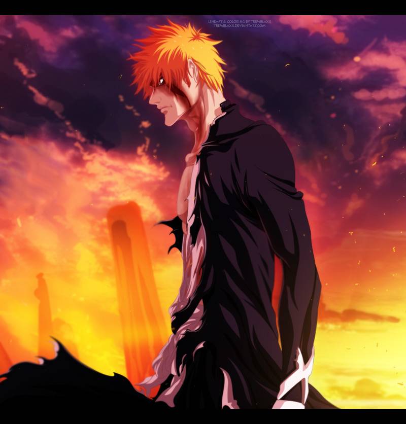 Bleach Chapter 528