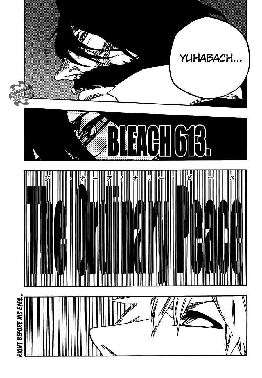 Bleach Chapter 613