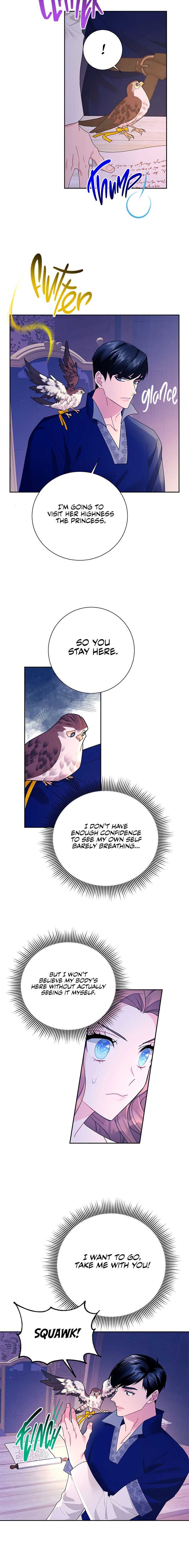 Carrier Falcon Princess Chapter 36