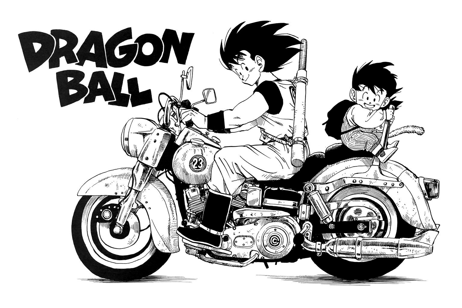 Dragon Ball Chapter 209