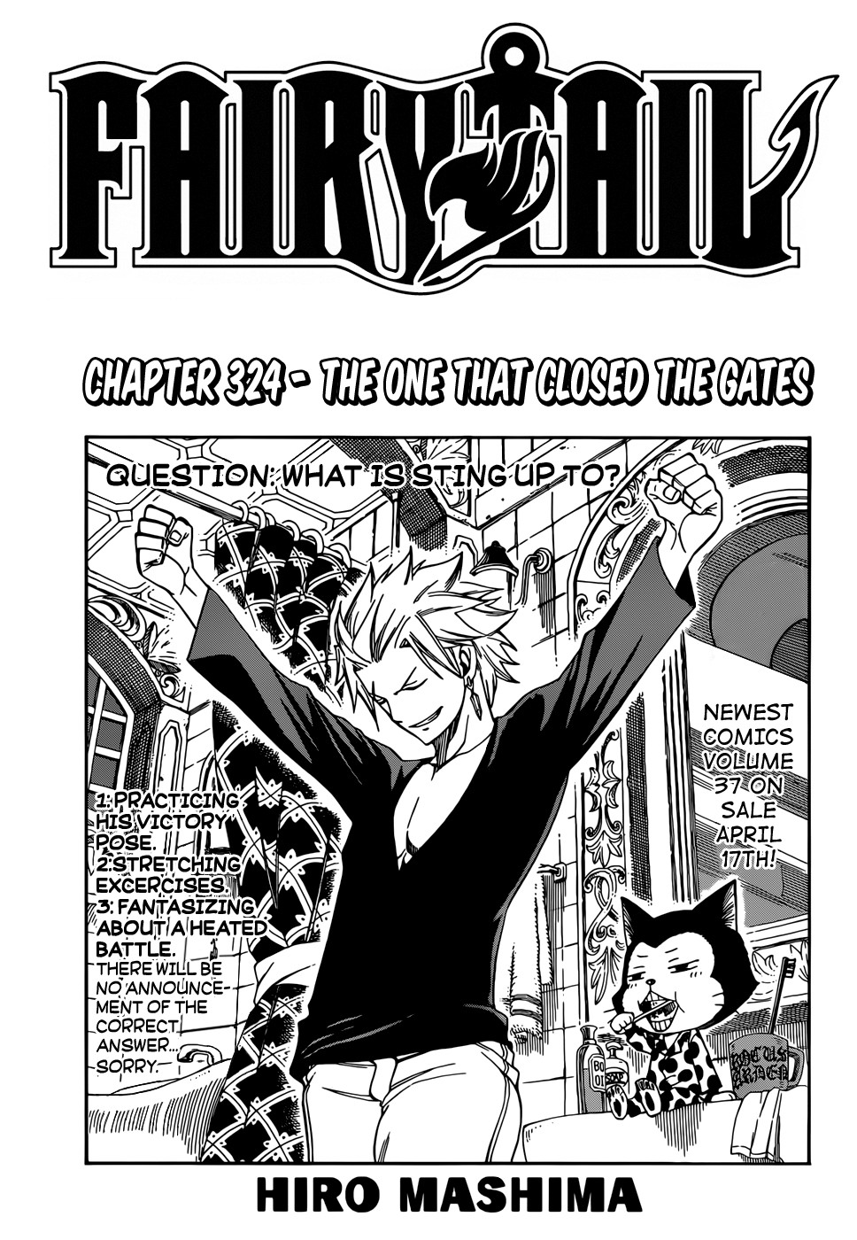 Fairy Tail Chapter 324