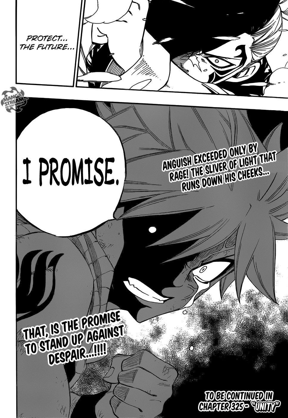 Fairy Tail Chapter 324