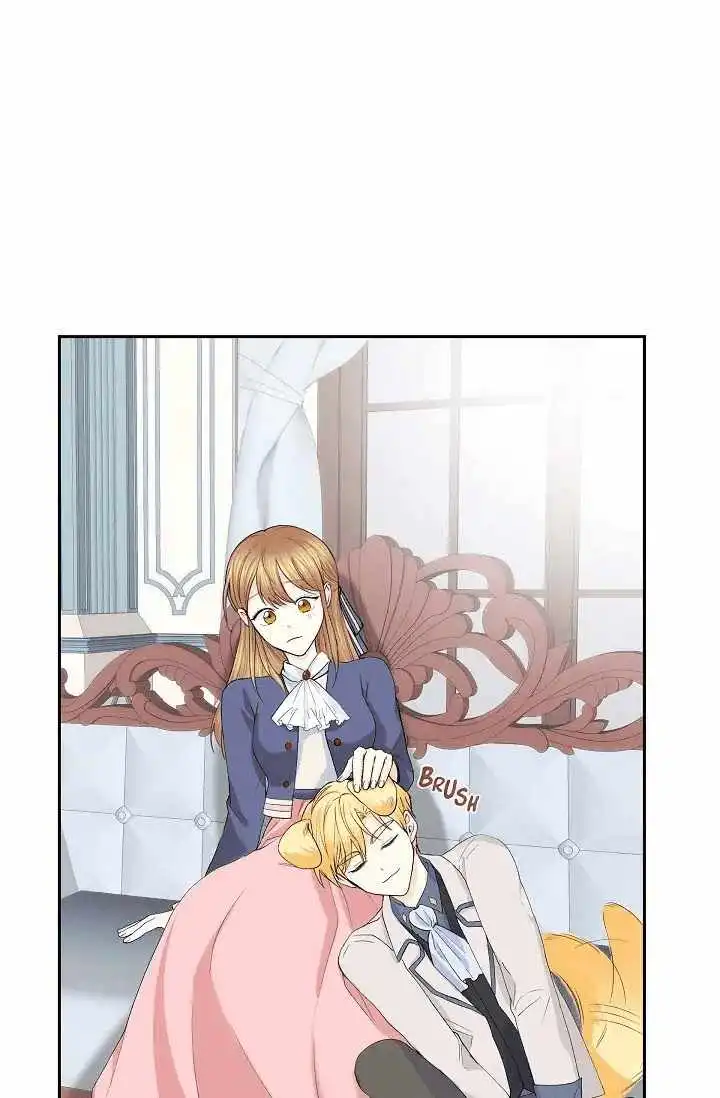 For Stella Chapter 49