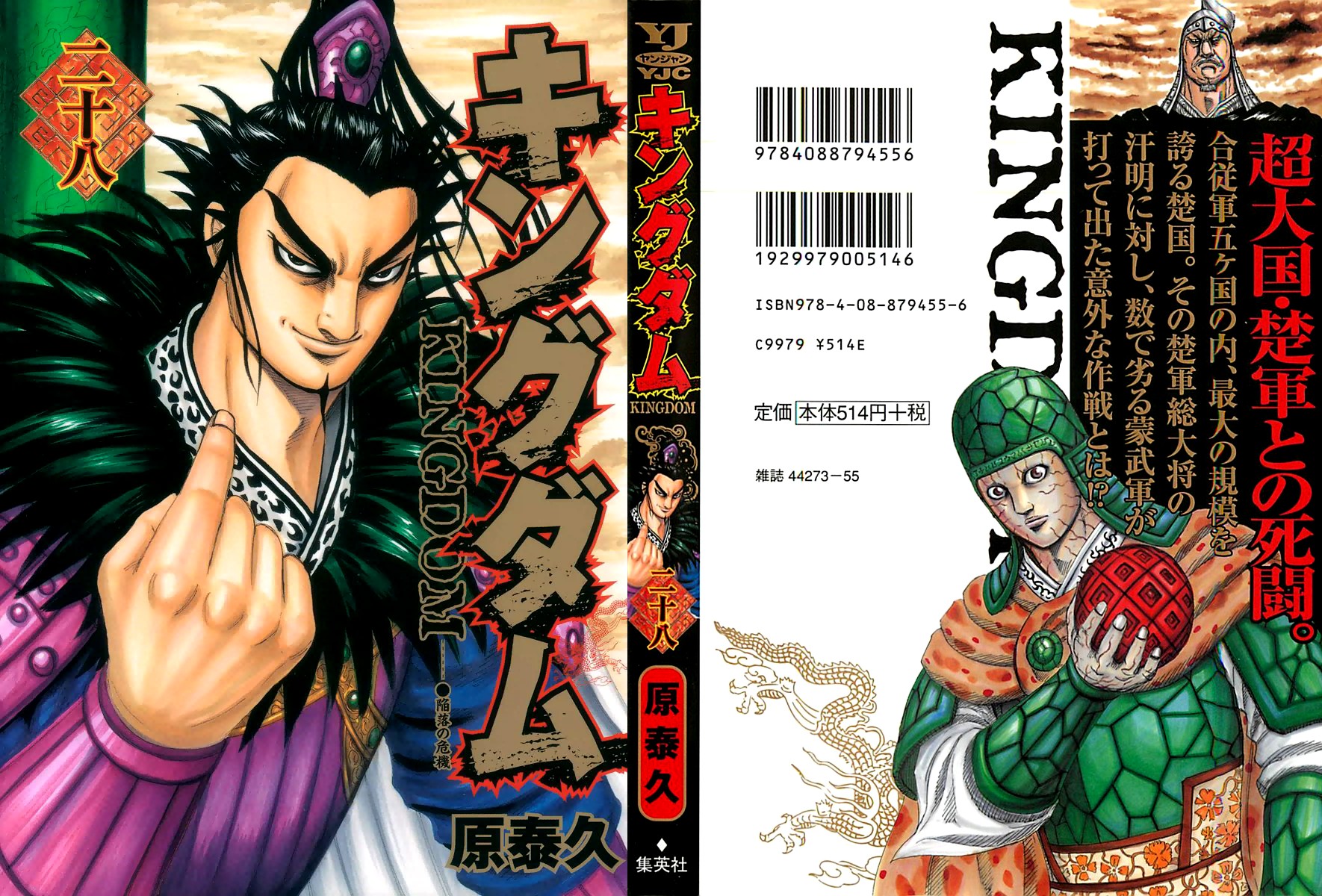 Kingdom Chapter 295