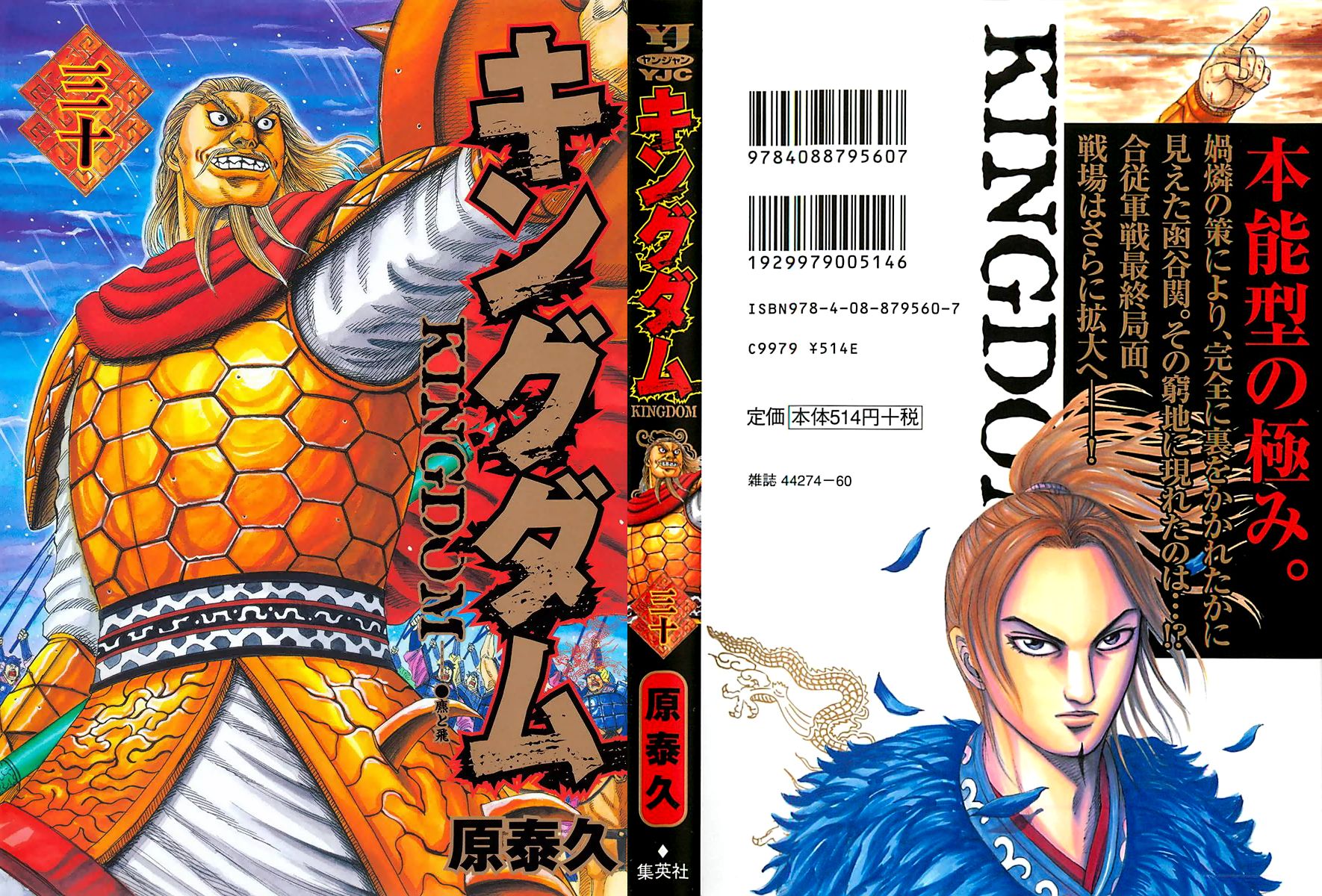 Kingdom Chapter 317