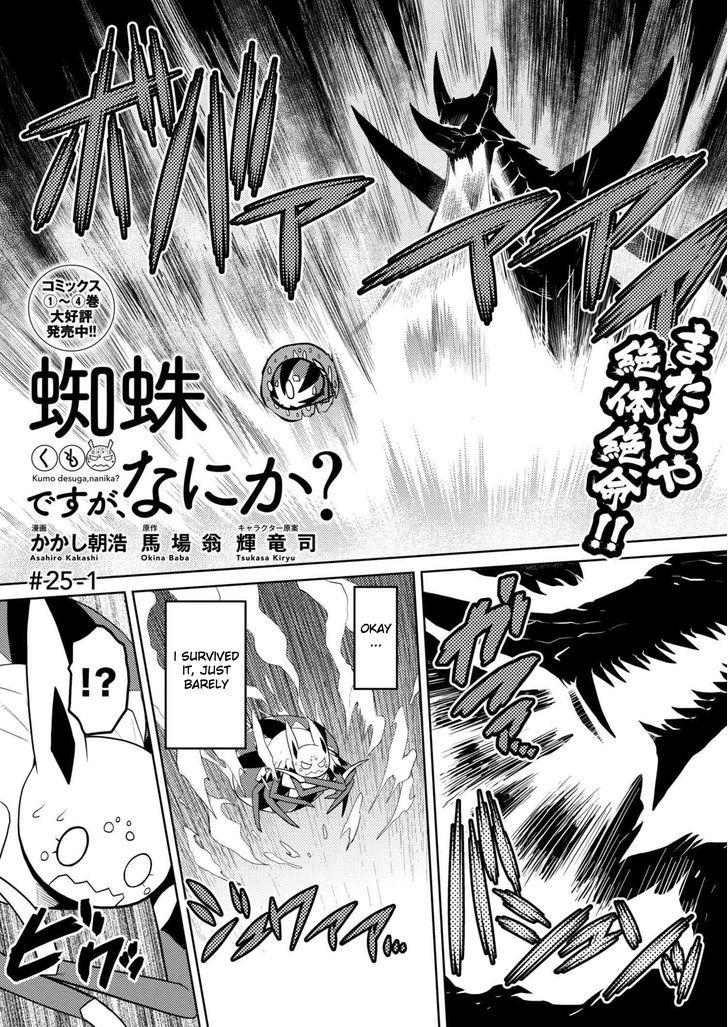 Kumo desu ga, nani ka? Chapter 25.1