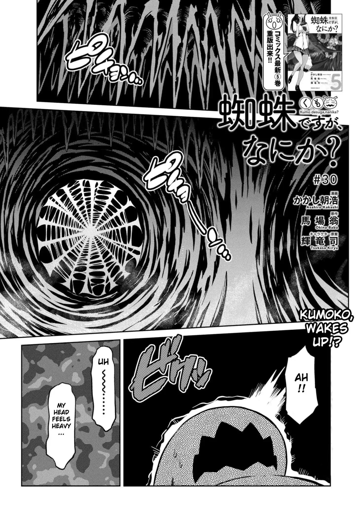 Kumo desu ga, nani ka? Chapter 30.1