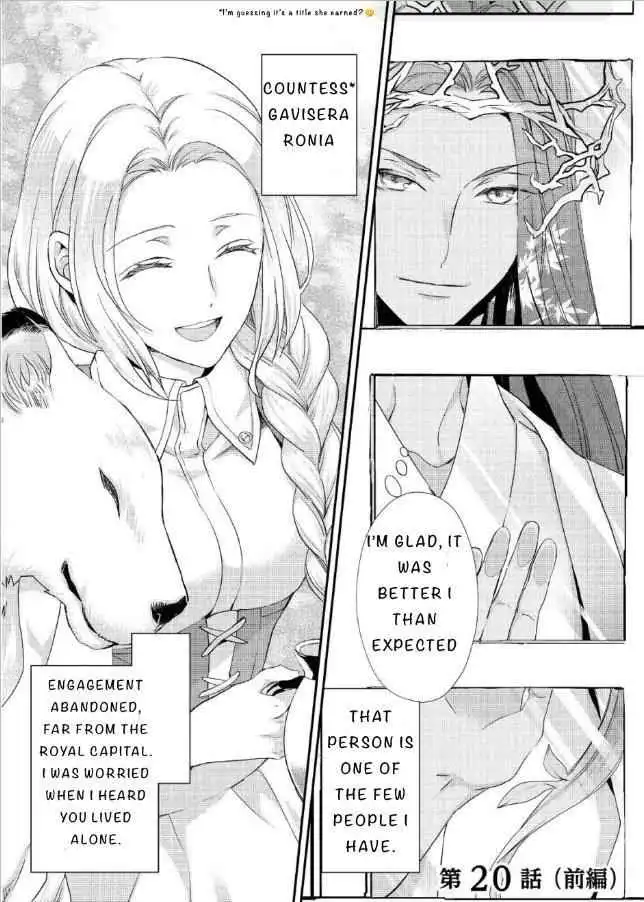 Milady Just Wants to Relax Chapter 20