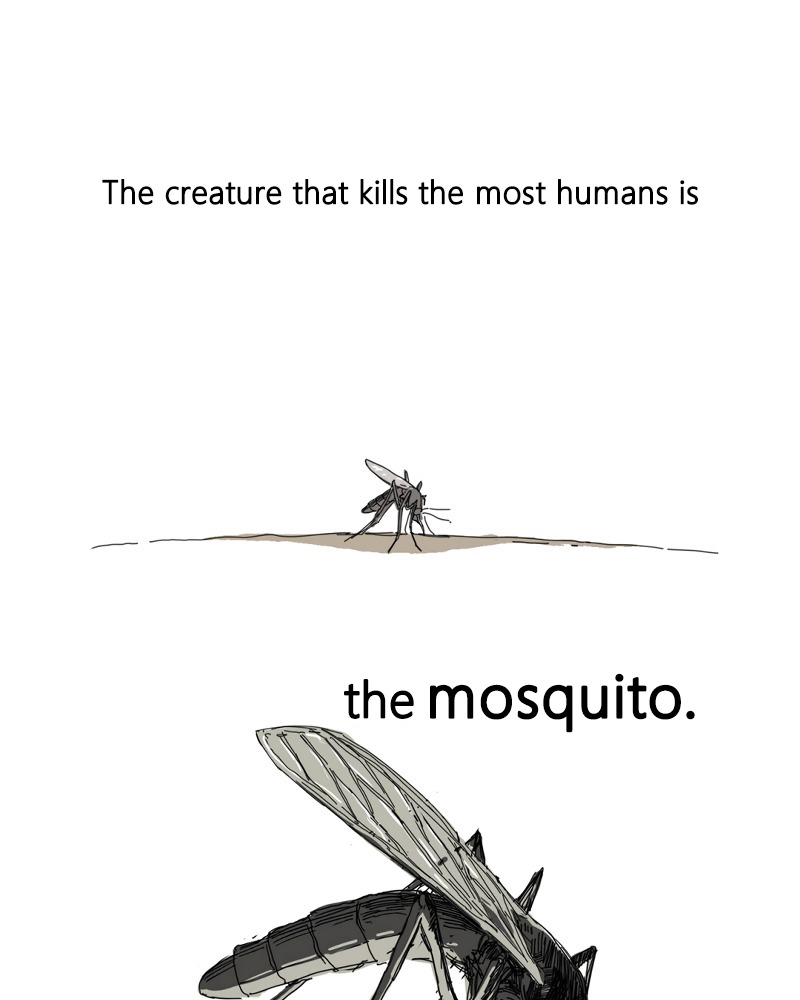 Mosquito War Chapter 1