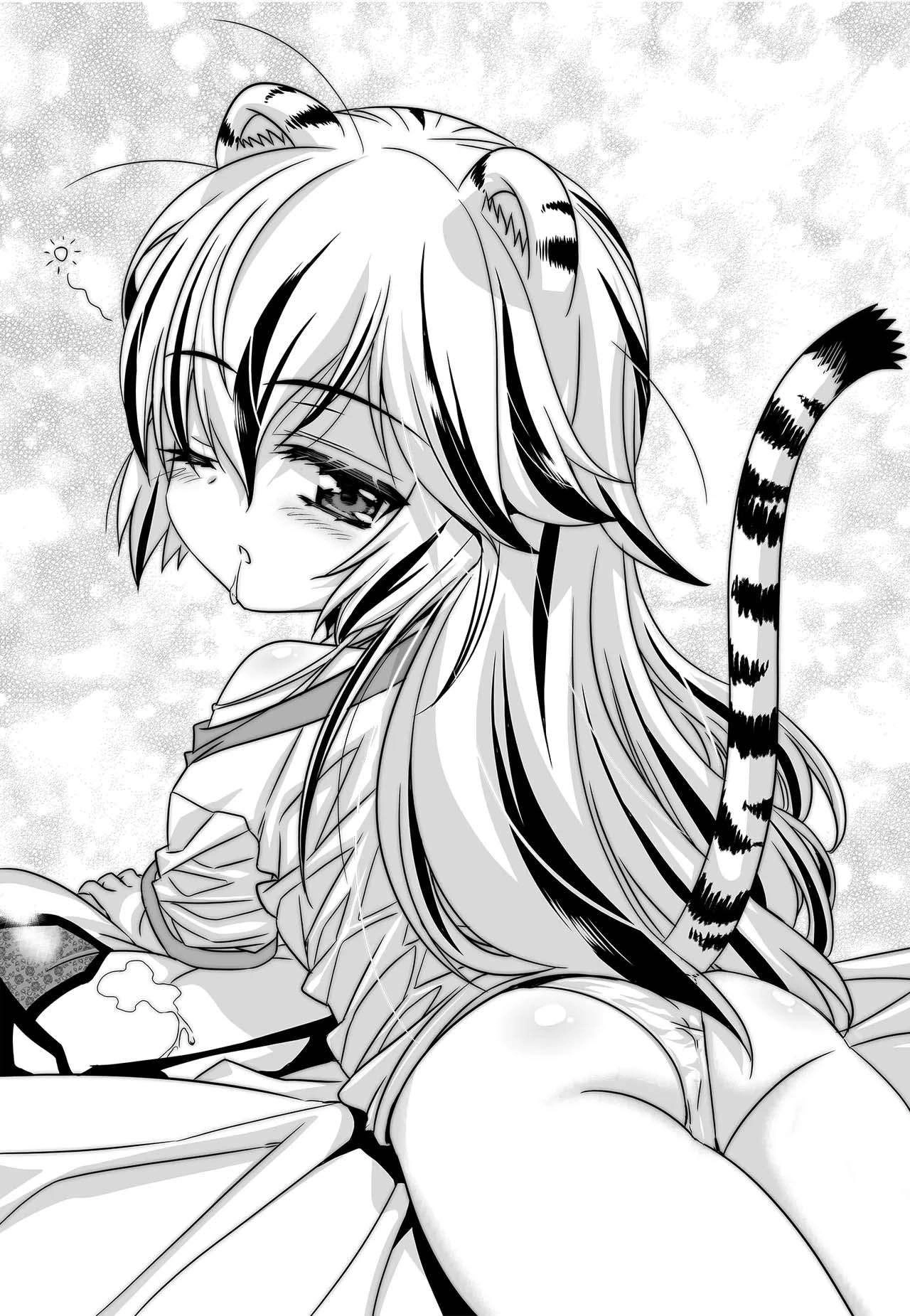 My Love Tiger Chapter 259