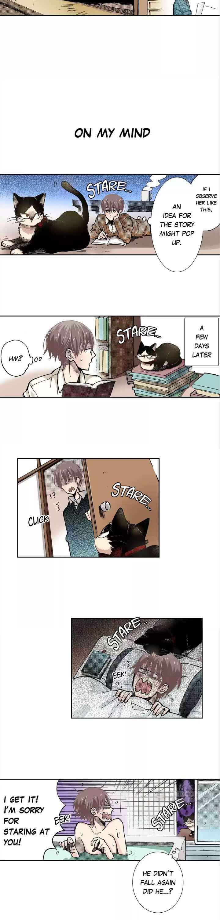 My Roommate Is A Cat Chapter 19